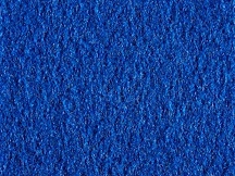 Blue velour exhibition carpet